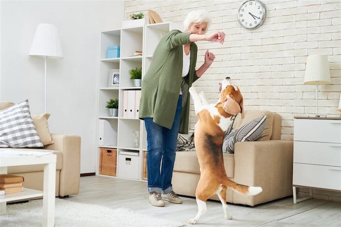 3 Ways to Keep Senior Pets Happy and Healthy