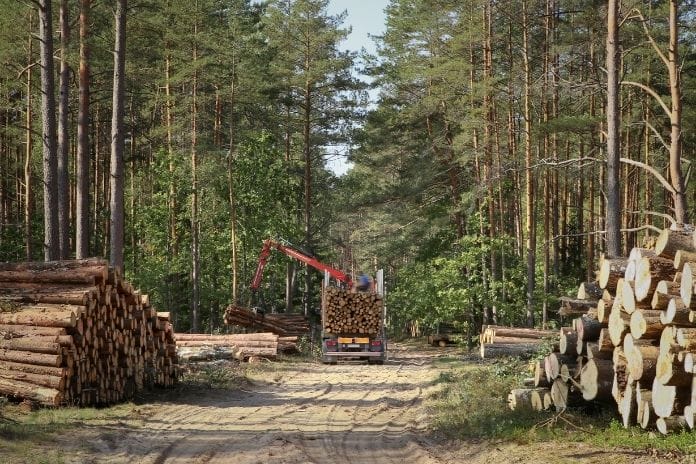 The Numerous Benefits of Logging