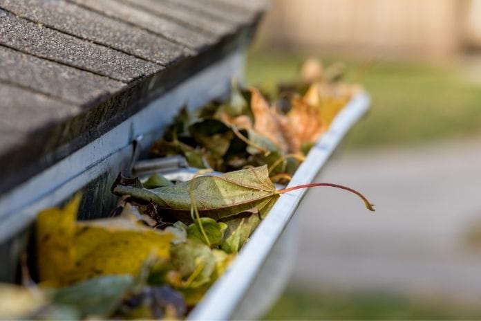 Home Maintenance Mistakes You Should Always Avoid