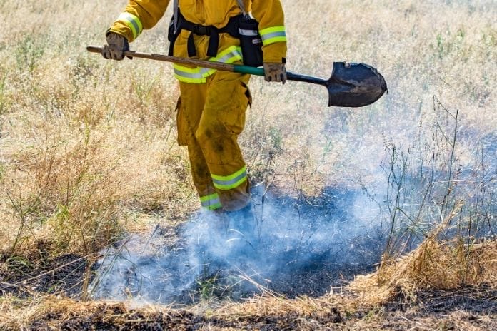 What Wildland Firefighters Do After a Fire