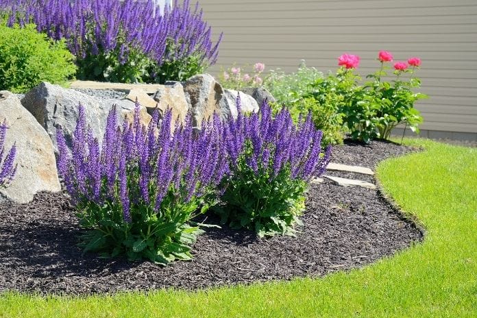 The Most Common Landscaping Mistakes To Avoid This Summer