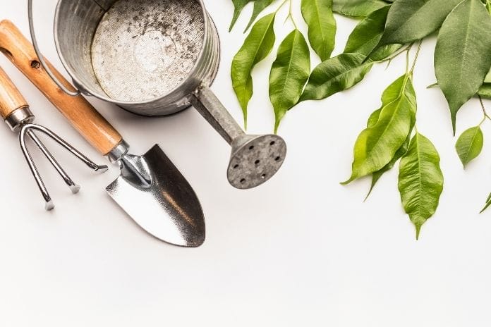 How To Start Your First Garden