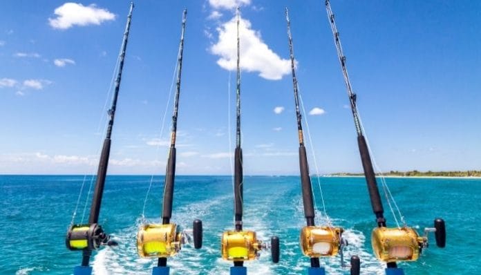 The Best Beaches in the Southeast for Deep Sea Fishing
