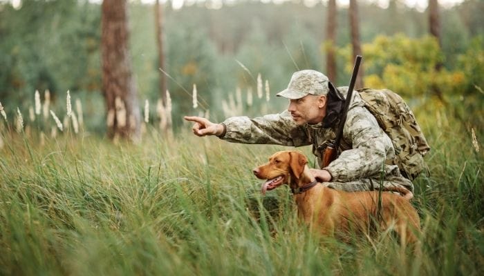Reasons Why Hunting Is Good for the Environment