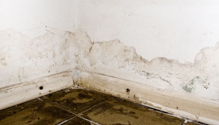 6 Key Steps To Take if Your Basement Floods
