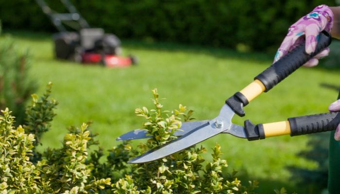 Landscape Maintenance Checklist for Summer