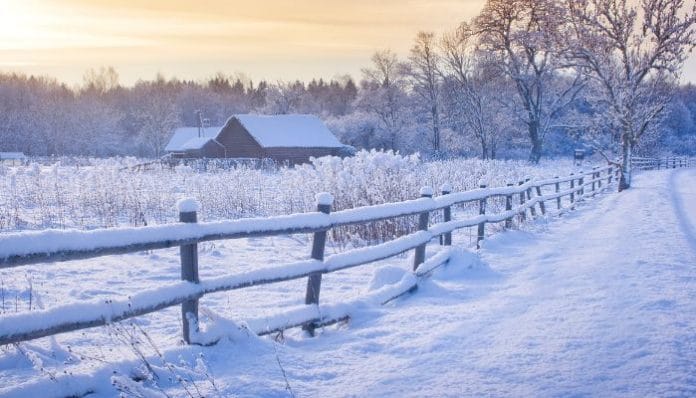 4 Ways To Prepare Your Farm for the Winter
