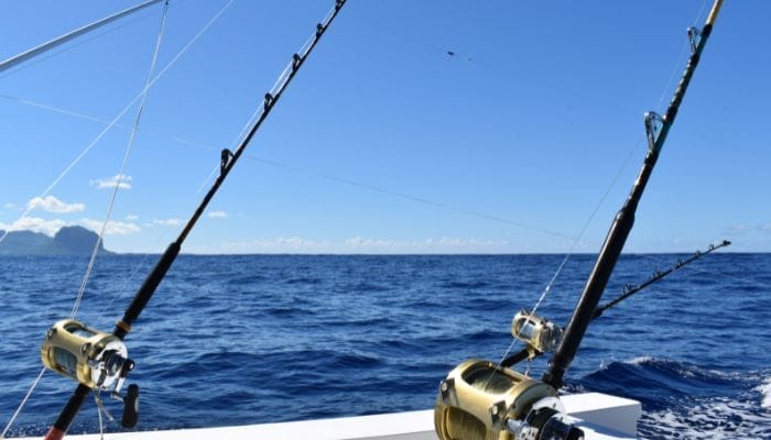 The Next Big Catch: Tips for a Successful Fishing Trip