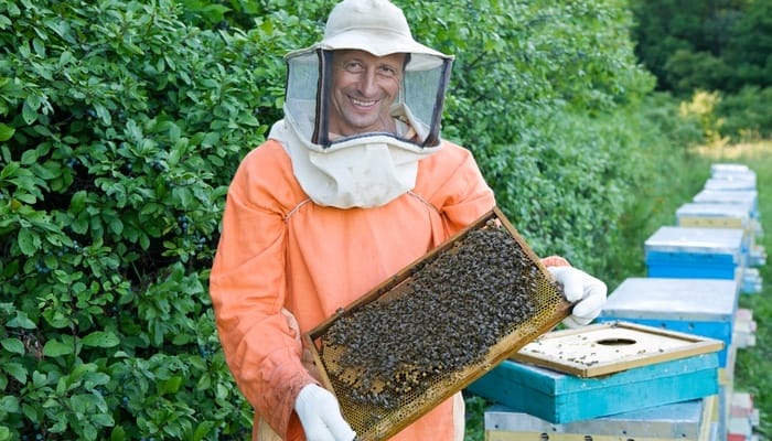 An older man wearing orange clothes and a beekeeping helmet smiles as he holds a large tray full of honeybees.