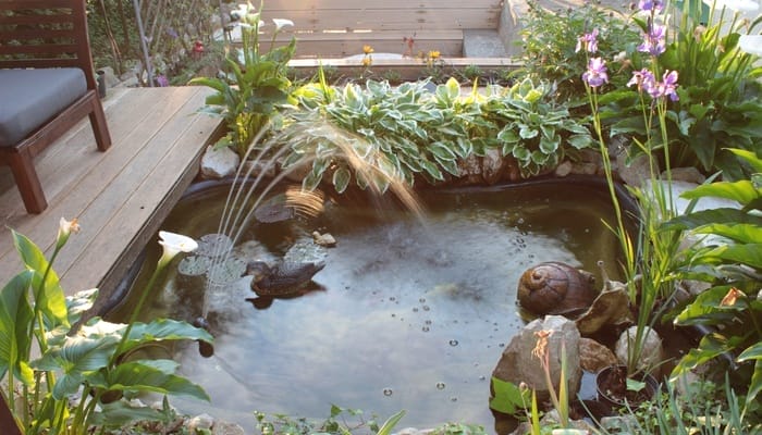 A small backyard pond next to a deck surrounded by rocks and water plants. A fountain sprays onto a statue of a snail.